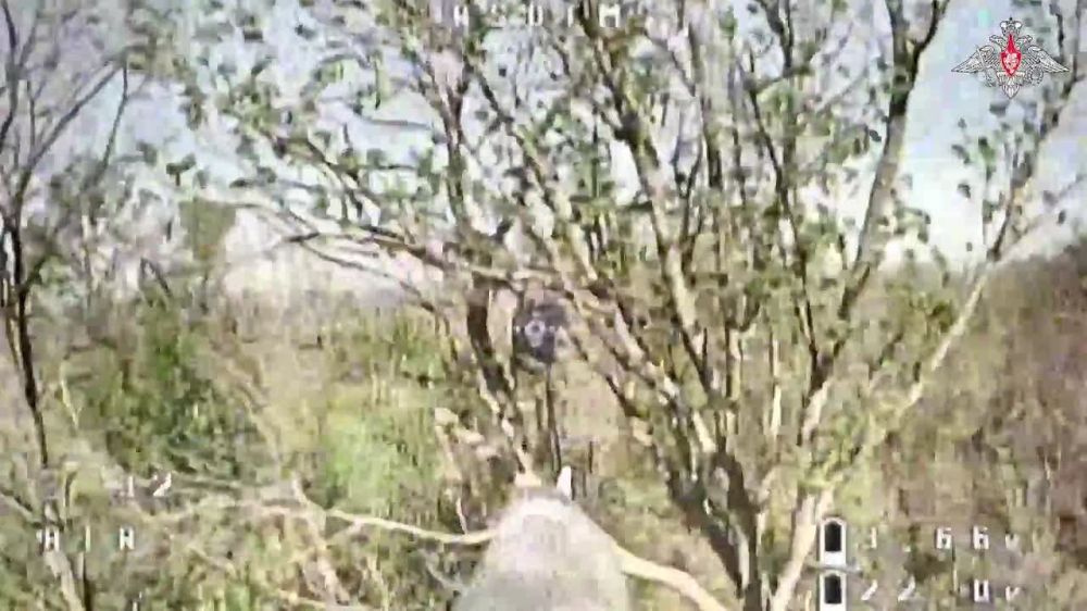 ���������� ������: ������� FPV-������ ������ ����������� ����� ���������� �������� ����� � ������� ��� ����������