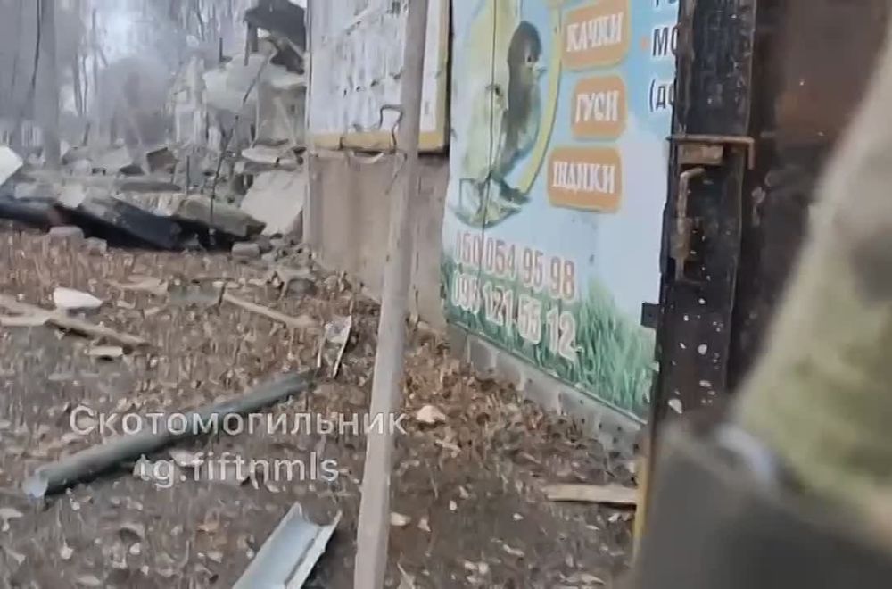 ��������� �������: ���������� �����������. ������ ����� � ���� �� ������� ���� �� ����� ������