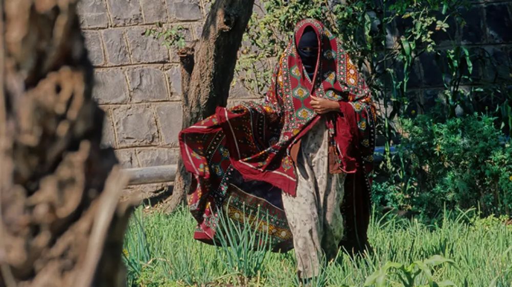 ������ � ������� � ������� � ����, ������ � ������. ��������� ��������: "� ����� ���"