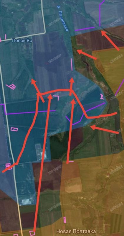 ���� �������: ����������� �����������/������ ����� ����������� (����������������) �����������