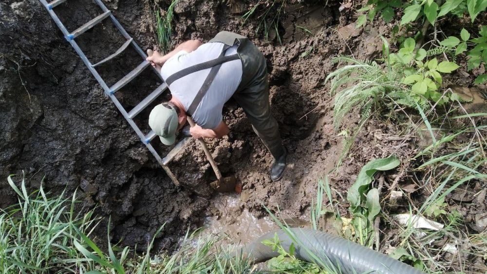 ������ ��������: ����������� ���� ������ ������ �� ������� ���� � ����������