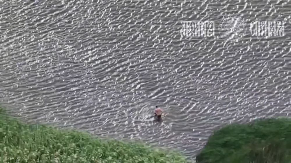 Соледарское направление, разведка привела нас к неожиданному