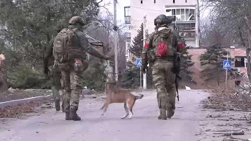 Сотрудниками ВО полиции «Кураховский» на территории промзоны вблизи Елизаветовки выявлен крупный схрон вооружения образца НАТО