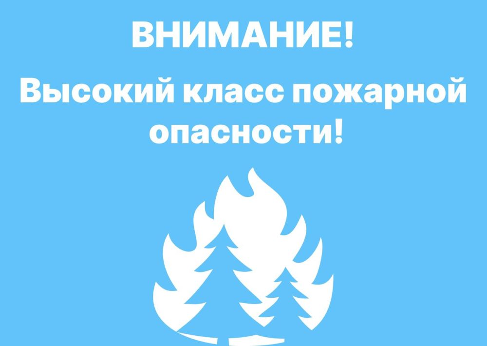 ����� �����: ��� ���: ������������ ��������������� (5 �����)