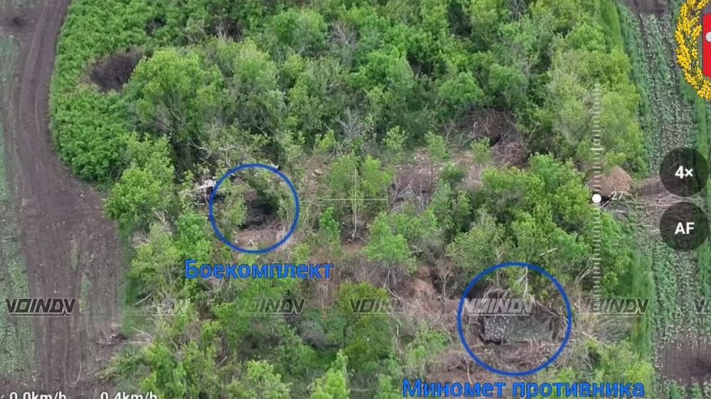 ��������� �������: ��������� ���� 5 ��������� ����������� �������� �������, 30 ��������� ���� �������� � 336 ��������� ����������� ������� ������� ������ ���������� ������� � ����� ���� ������������ �� ���������� �����������