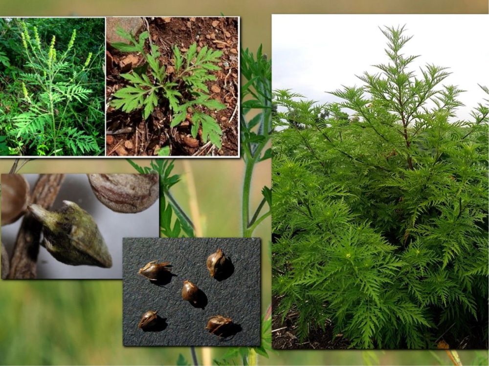 ���������� ����������������� �� ��� � ��� ����������, ��� �������� �������������� - ���� �� �������� �������� � ������ ���������������� ����������� ��������, ���������� � ������ �������� ����������� �������� ������������...