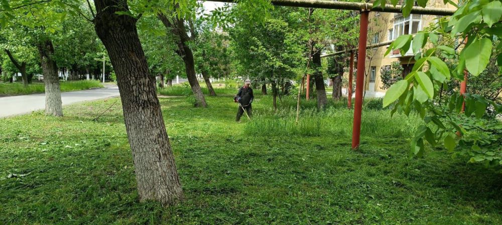 В Ждановке продолжаются работы по благоустройству 