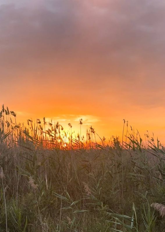       &quot;   2025&quot;,    :  , 55 ,  ,  &quot;   &quot; ; , 12 , . ...