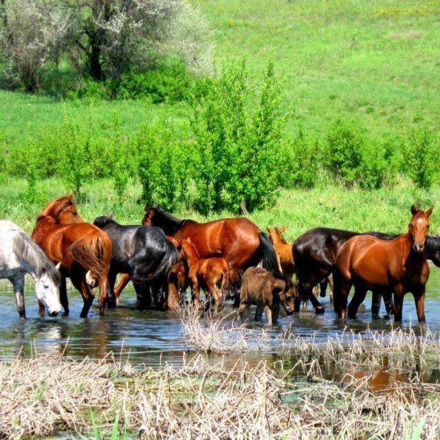       &quot;   2025&quot;    :  , 10 , .   &quot;  ,  ,  &quot;;  , 20 ...