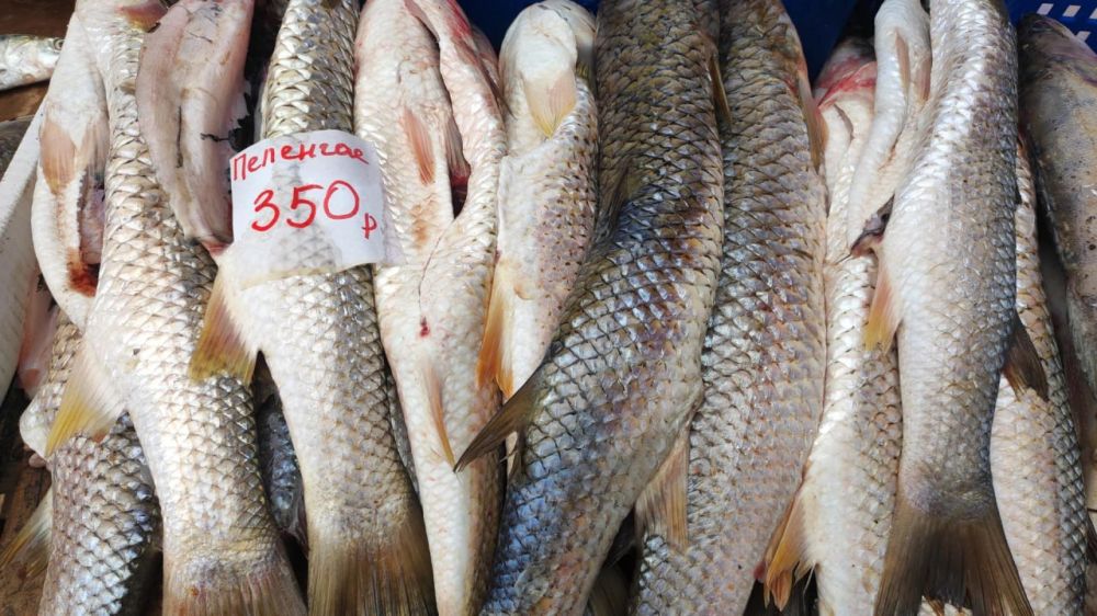 ��������� �������: �� ����������� ������� ����������� ������ �������