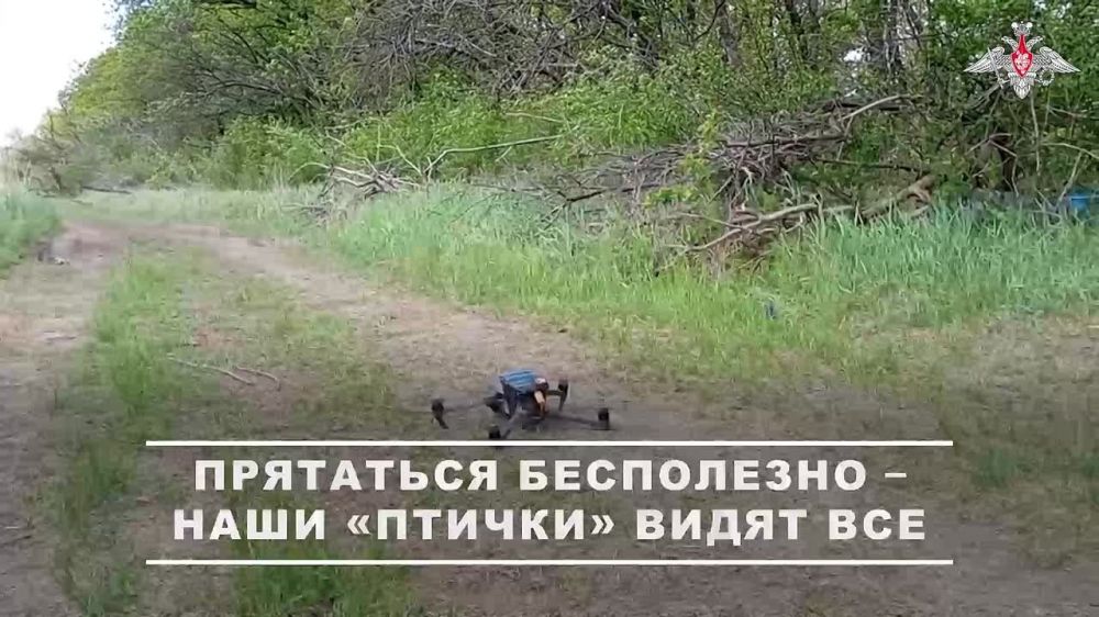 ���������� �� ������������ ����� ����������� ������� ���� ���������� � ��������� �������������� ����������� ������������� 51-� ����������� ������������� ����� ������ �������� ������