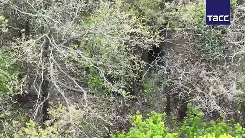 ������ �������: ����� ������������ �������� � ������� �������