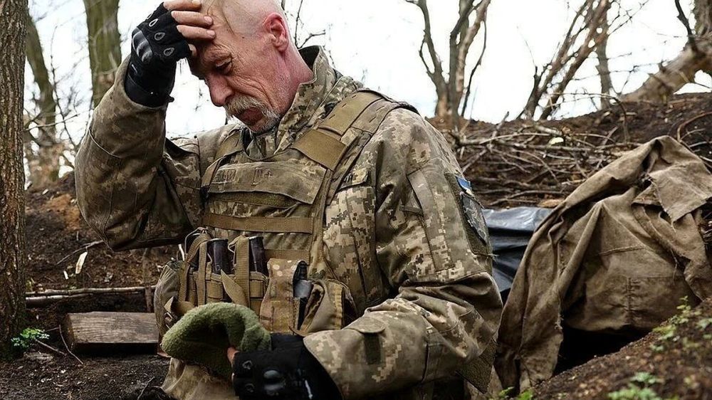 ВСУ развернули полевые крематории на границе ДНР: готовы на все, лишь бы скрыть потери