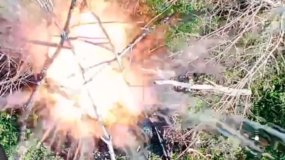 �������� ����� ������ ������� �������� ���������� ����� �����������