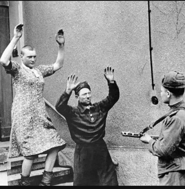 ������ �����������: ���, ��� �� ��� 2022 ���� � �� ���������