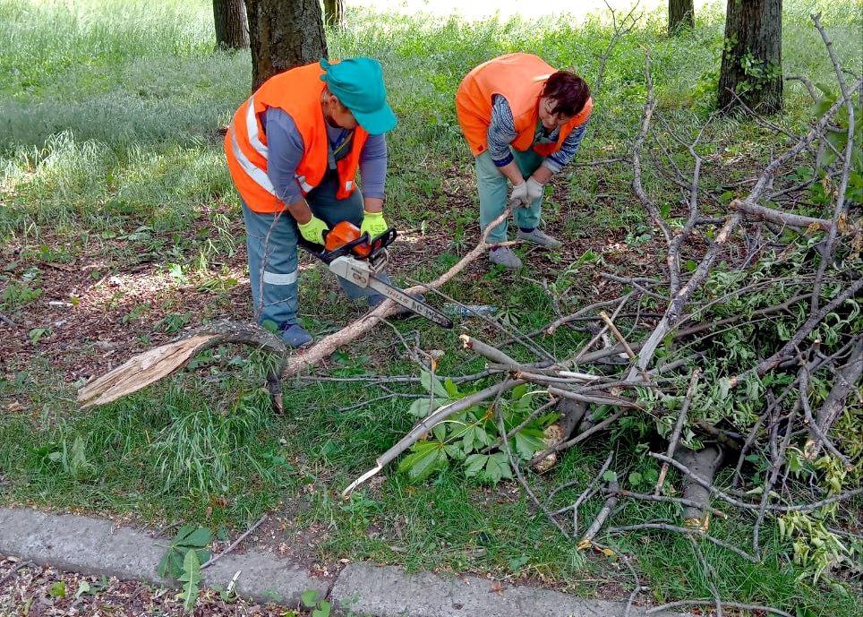 ���� ������: ���� � �������� ������ �������� ������, ���������� "����������" ���������� �������� � ������������� �������� ����� � ��������� ��������������� ������ �� ���������������