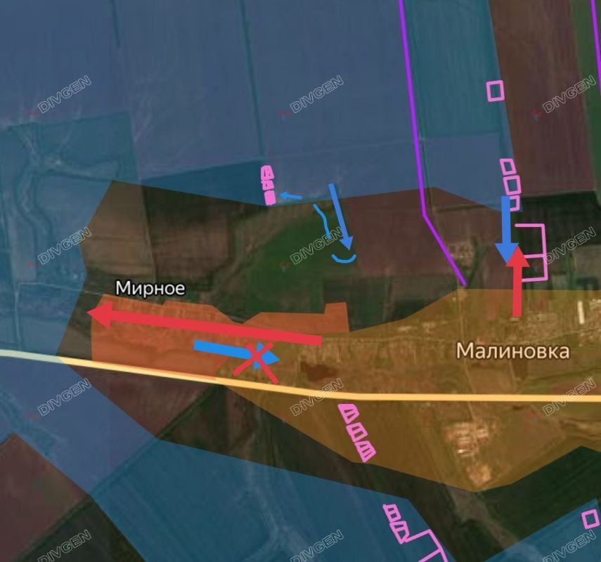 ���� �������: ���������� (���������������) �����������