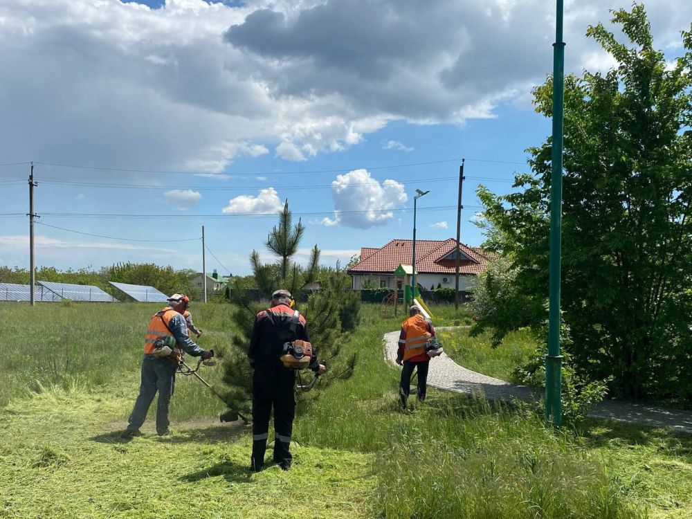 Сергей Юзвинкевич: Во исполнение поручения Главы Донецкой Народной Республики Пушилина Дениса Владимировича в Володарском муниципальном округе ведутся работы по покосу сорных и карантинных трав
