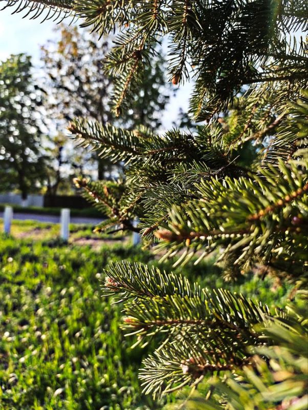 Игорь Лызов: Доброе утро, Амвросиевский муниципальный округ!