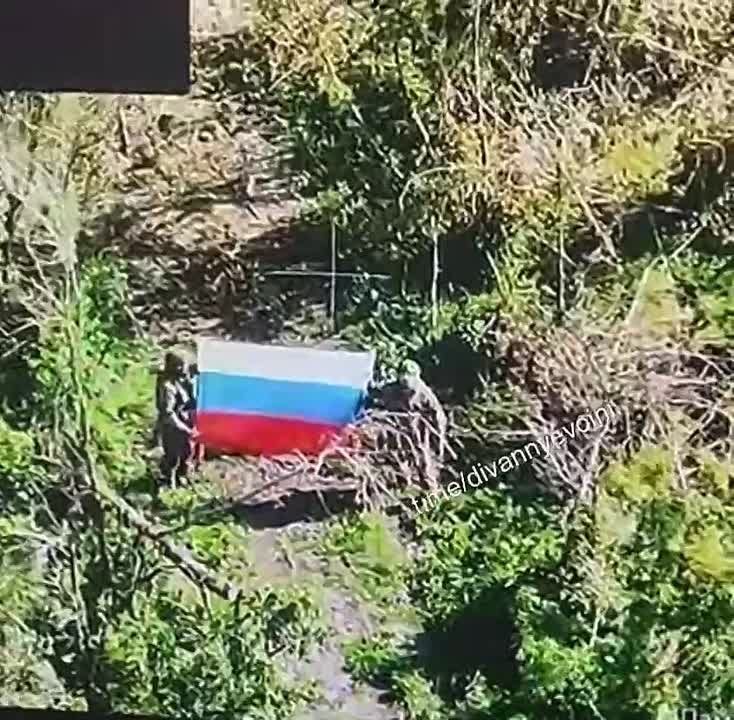 �������� �����: ������� �������� � ��������� ������ ��������� � ��� �� ���������������� �����������