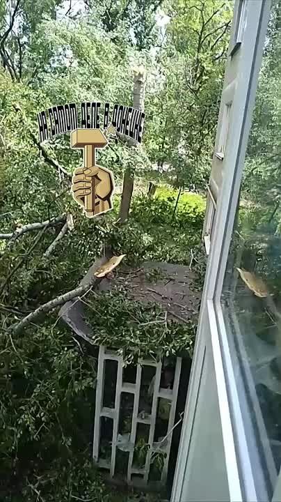 �� ������ ������� ������� ��� �����, ������� ������� ��������� �������