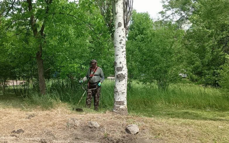 В Ждановке ведется работа по покосу карантинных трав