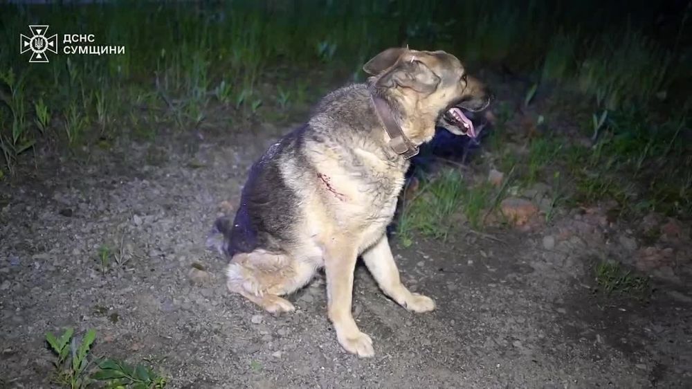 ���� ����: �� �� ������� ����� �� ������� �������� � ����� �������� �������: