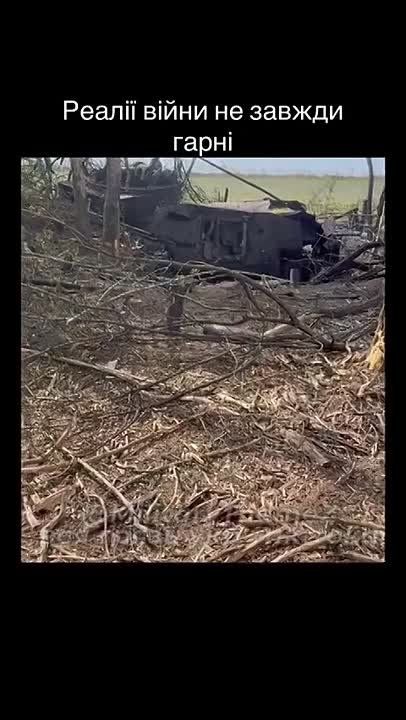 ����-�������� �����������. ������������ � ���������� ������� �� ��� 2�1 "��������" ���