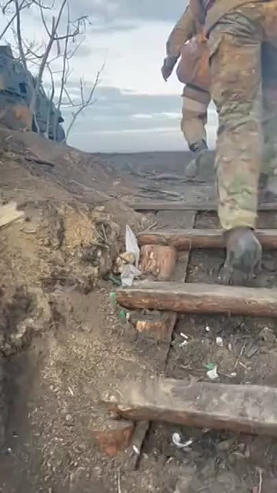 ������ �������: �������� ���� � �������� ��������� ������ �� ����-�������� �����������