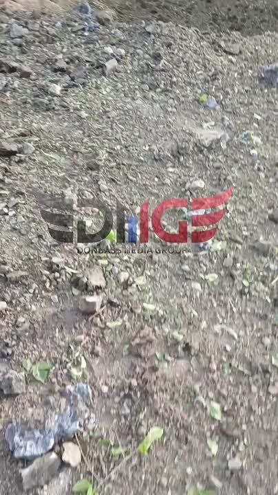 ���� ����: 99 ���������� ������������� ����� ��� ��� 7 ��������� ��: