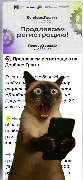 �� ����������, ���� ��� ���� ����