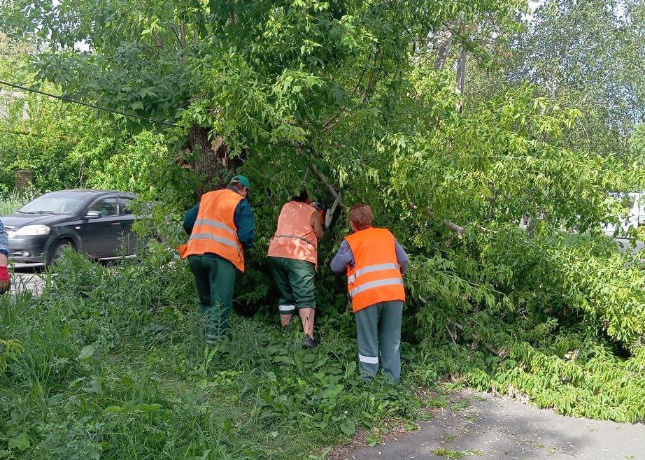 ���� ������: ������������ ������ ������������� ������ ����������� ����������� �������� �����, ���������� ��������� � ������ � ���������� ������� ��������