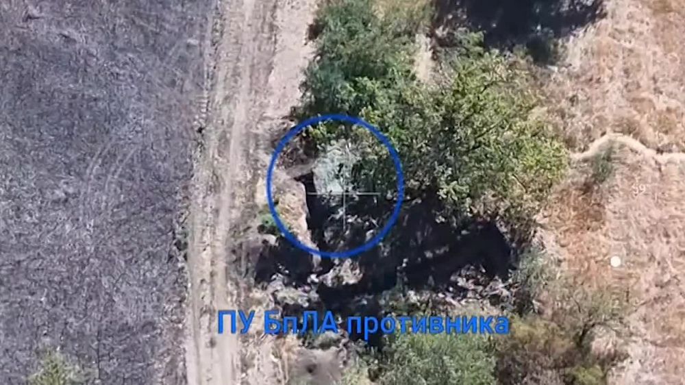 ������� ���������: �������� ����� �� ������� ���������� ����������� �������� ��� ������� ��������� FPV-������ �� ������� ����������� ������� ����� ����������� ����� "������"