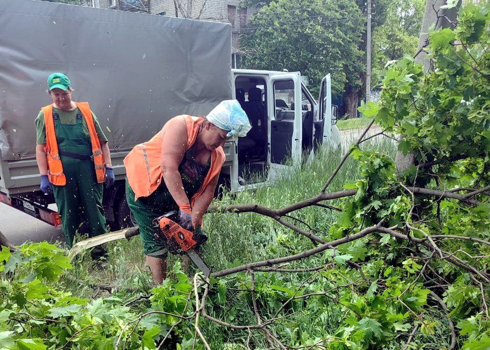 ���� ������: ������������ ������ ������������� ������ ��������� ����������� ��������