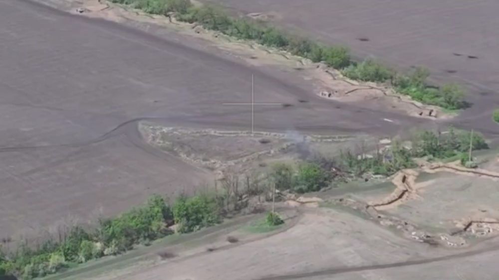 ������� ���������: ������ ���� �������� �� ���������� ������������