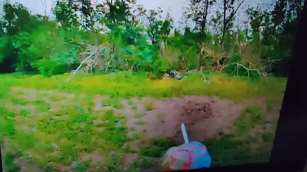 ������ �������: ��������� �������������� ������ ����������� "������" �� �� �� ������� ���������� ���������� ������ ���������� �� ����-�������� �����������