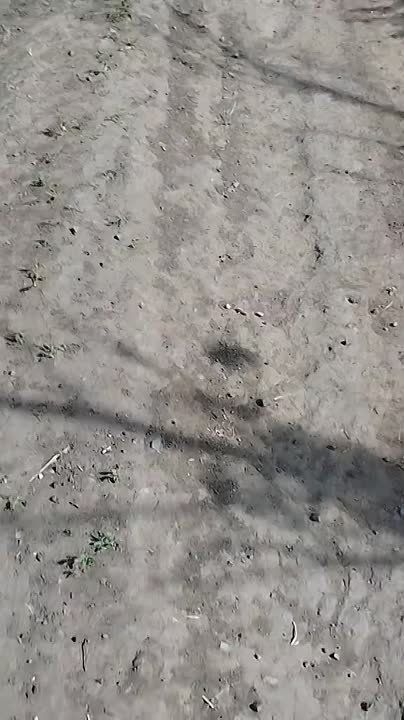 ������ �������: ��� ���� ������������ �� ����-�������� ����������� ���������� ������������� ����������� Land Rover Snatch, ���������� ��������������� � �������� ������� ������