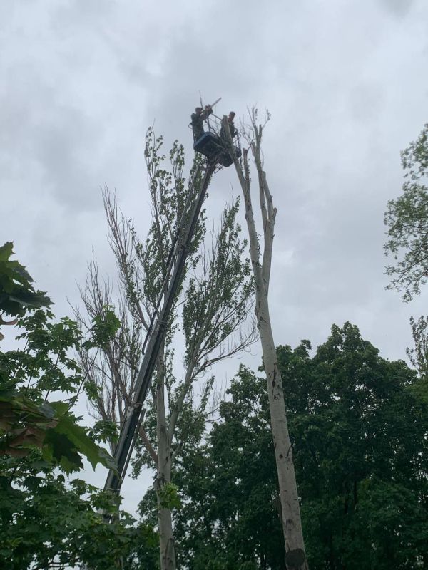 �������� ��������: �������� ���������� ������������ ������ ������ ������ �� ��.������, 106