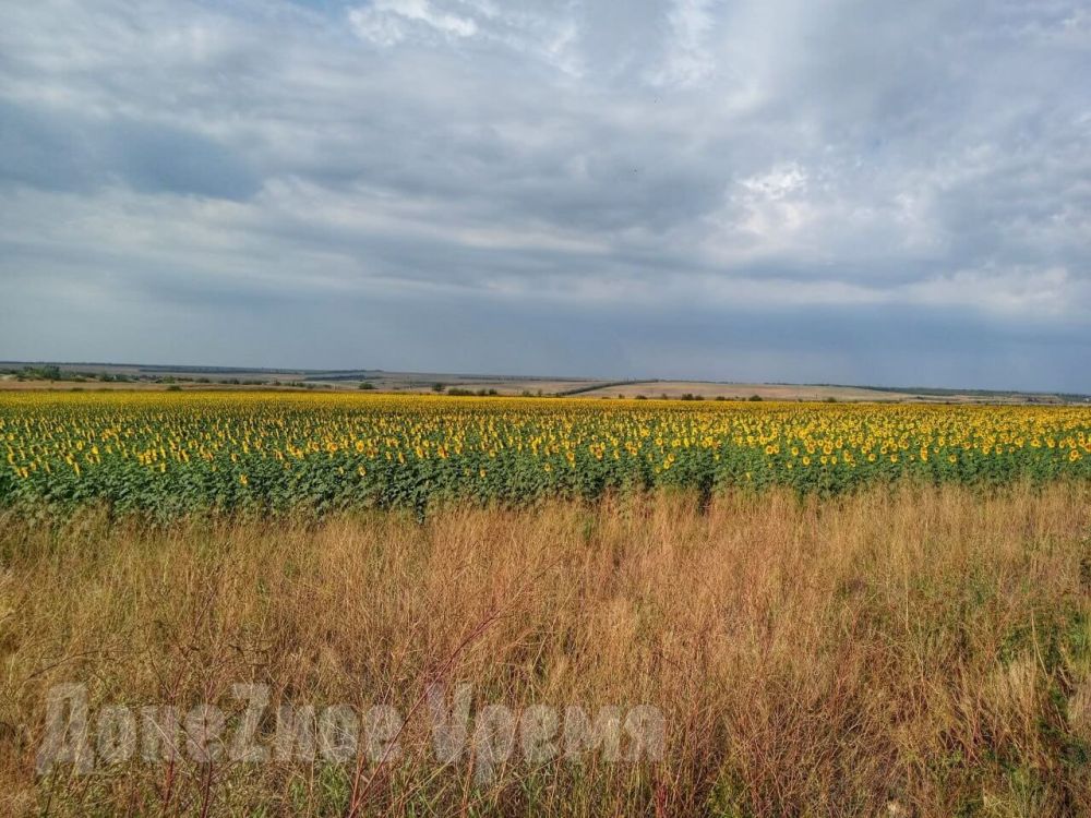 ������ ��� � ������: ��������� ��������� � ��� 15 ���������� ��������