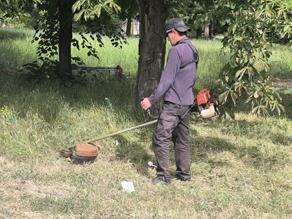 ������ ��������: ������� � ������ ������������� ������ ������������� ���������