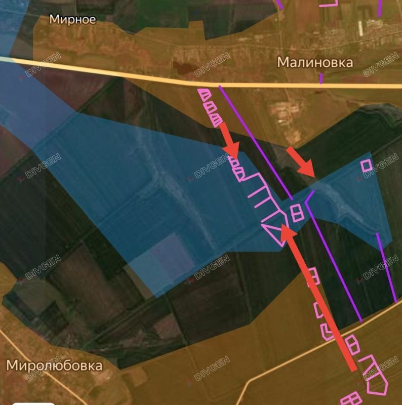 ���� �������: ���������� (���������������) �����������