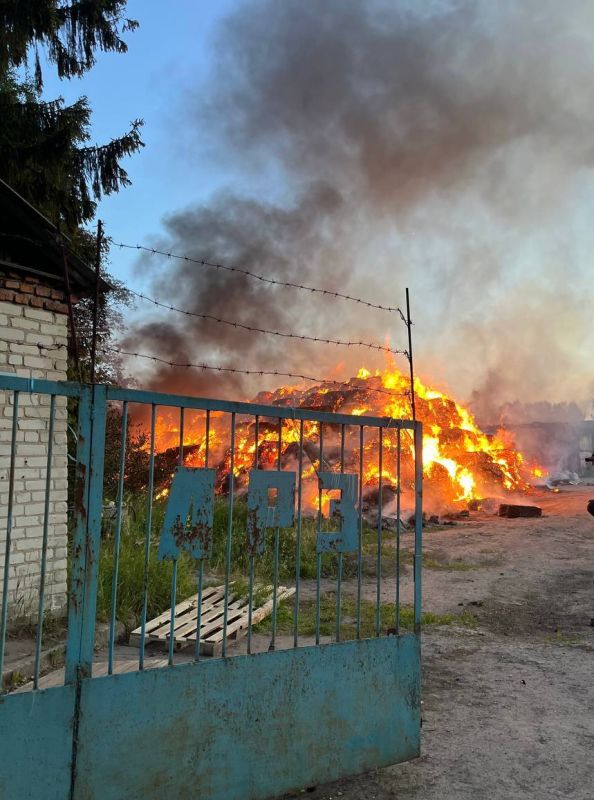 ���� ����: ���������� �� �� �������� ����������� ������ � ������ ������ ��� �� ���������� ������, �� ����, ��� ��������: