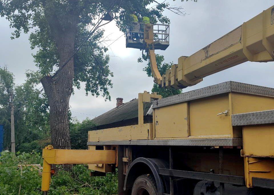 ���� ������: � ������������ ������ ������� ������������ ������ �� ���������������