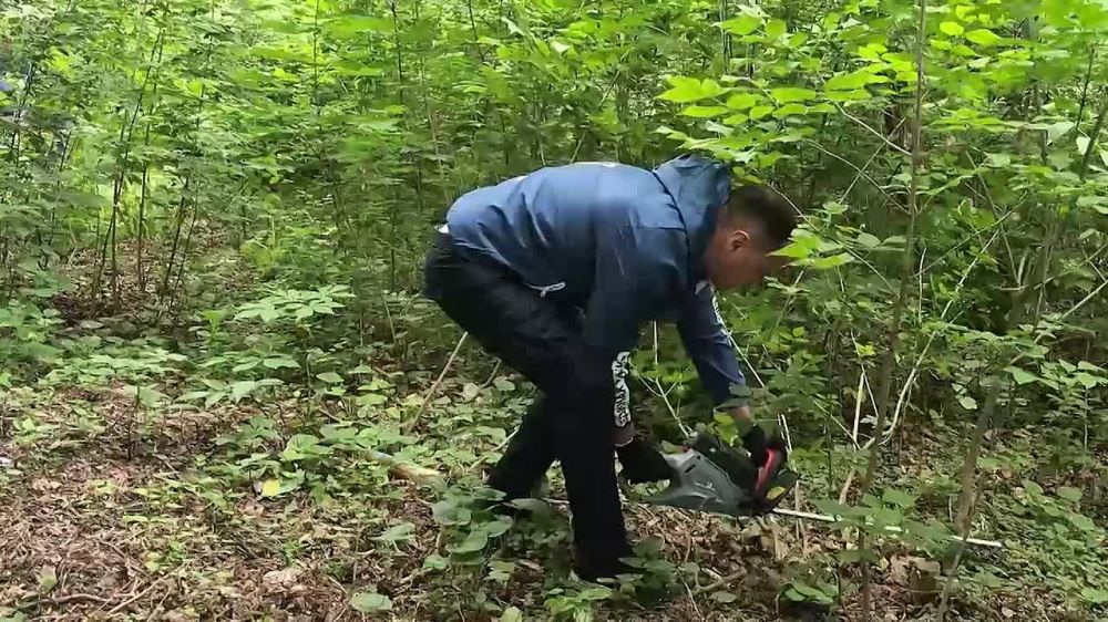 �� ���� ������ ����� ������� ������������� ��� ��������������� ����� ����������� � ������������ ������, ����� ���� ���������� � �������� ��������