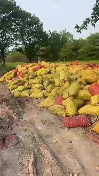 �������������������� ��������: ����������� �������� ����� ��������� � ���������� ����