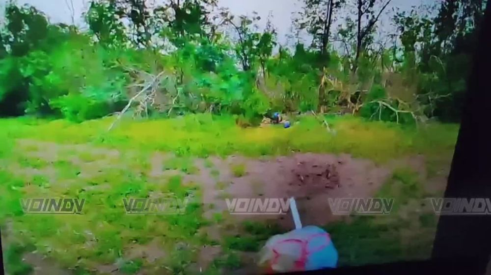 ��������� ���� 36 ������������� ����� ����������� "������" ���������� ������ �������� �� ���������� �����������