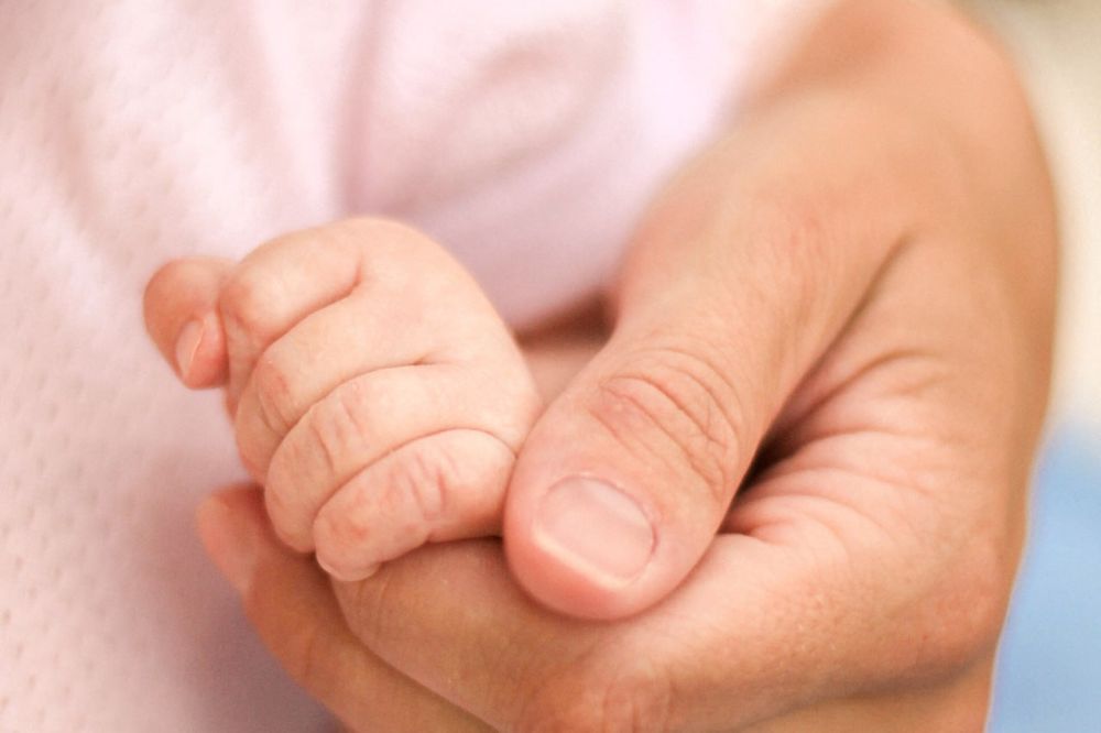 ������ ������: � ������ ���� ���� �� ����������� �������� ������������� ���� ������ �����