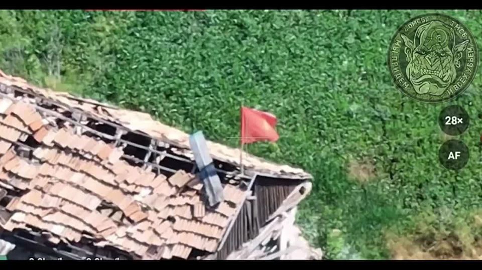 ������� ����������� ������������ ������� � ������ ����������
