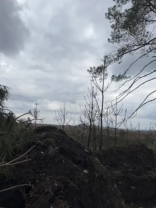 ������ �������: ������� ���������� ������������ ��������� ��� ������� ���������� ������� �� ����-�������������� ���� "���� ���" �� ����- �������� �����������