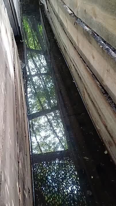 ������ �������: ������� �������� ��������� ������ �� ����-�������� ����������� ����� ������� ��������� ������